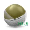 Bóng Golf Titleist Pro V1 - Hộp 12 quả - CH308 11 Bóng Golf Titleist Pro V1 - Hộp 12 quả - CH308