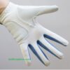 Găng tay Golf nữ FJ WeaThersof Glove - CH221