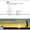 Găng tay golf nam da cừu PGA Tour Max Pro - CH414